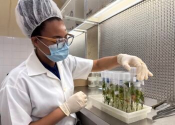 Romelia’s goal is to cure Alzheimer’s