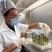 Romelia’s goal is to cure Alzheimer’s