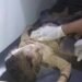 A woman and 4 children from one family died as a result of the demolition of their house in Hajjah – Al-Thawra Net