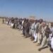 A tribal reconciliation ends a murder case in Al-Jawf – Al-Thawra Net