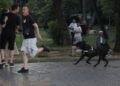 Incident at the protest, the son of Paulin Sterkaj insults the influencer and the protesters, the citizens are chasing him – Shqip.com