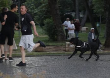 Incident at the protest, the son of Paulin Sterkaj insults the influencer and the protesters, the citizens are chasing him – Shqip.com