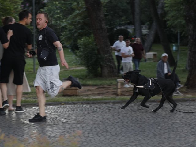 Incident at the protest, the son of Paulin Sterkaj insults the influencer and the protesters, the citizens are chasing him – Shqip.com
