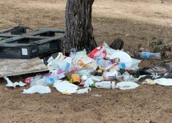 Illegal dumping of waste becoming a ‘big’ issue