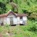 UPP pledges to support safe resettlement of Petite Savanne