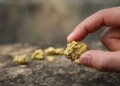 Pilot fined for possession of raw gold