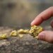 Pilot fined for possession of raw gold