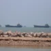 After agreement between USA and Iran: First tankers pass Strait of Hormuz – DiePresse.com