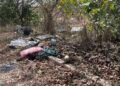 Illegal dump exposed at Chancery Lane wetlands