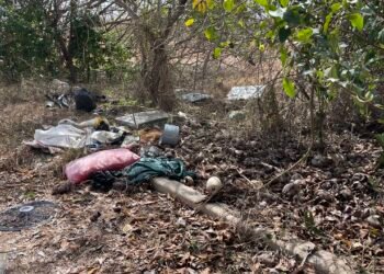 Illegal dump exposed at Chancery Lane wetlands