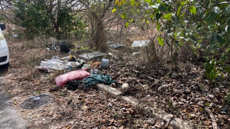 Illegal dump exposed at Chancery Lane wetlands