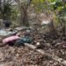 Illegal dump exposed at Chancery Lane wetlands