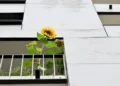 A house with a garden would be the first choice – DiePresse.com