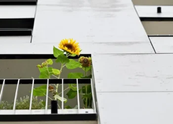 A house with a garden would be the first choice – DiePresse.com