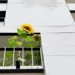 A house with a garden would be the first choice – DiePresse.com