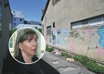 Tageblatt.lu | Station District | Lydie Polfer again calls for a “Samu Social” after the death of a homeless man