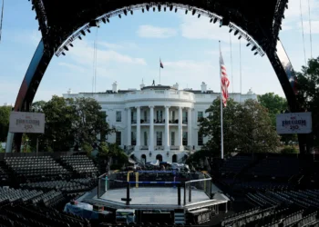 Trump’s UFC cage fights to kick off at White House for America’s 250th: Live updates