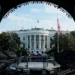 Trump’s UFC cage fights to kick off at White House for America’s 250th: Live updates
