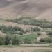 UN warns climate change threatens livelihoods, food security in Afghanistan – Pajhwok Afghan News