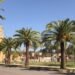 Launch of development works on Avenue Zerktouni in Khénifra – Today Morocco