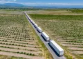 Armenian tomatoes will be exported to Europe – ARMENPRESS Armenian News Agency