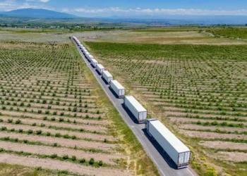 Armenian tomatoes will be exported to Europe – ARMENPRESS Armenian News Agency