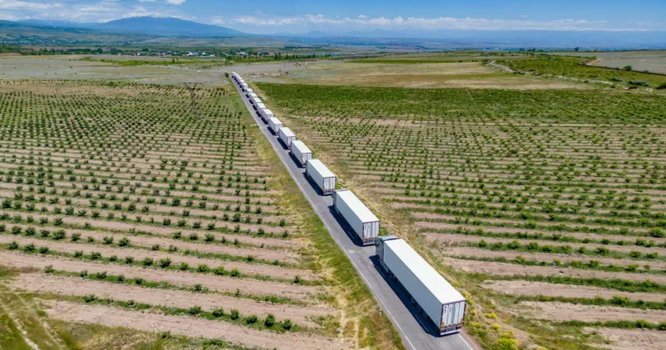 Armenian tomatoes will be exported to Europe – ARMENPRESS Armenian News Agency