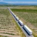 Armenian tomatoes will be exported to Europe – ARMENPRESS Armenian News Agency