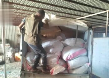 More than 15 tons of prohibited and smuggled pesticides were seized in the capital – Al-Thawra Net