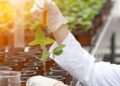 Generation Green – Agriculture: Fifteen new standards to modernize training – Today Morocco