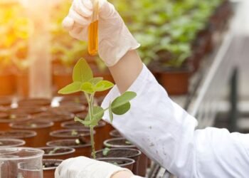 Generation Green – Agriculture: Fifteen new standards to modernize training – Today Morocco