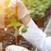 Generation Green – Agriculture: Fifteen new standards to modernize training – Today Morocco