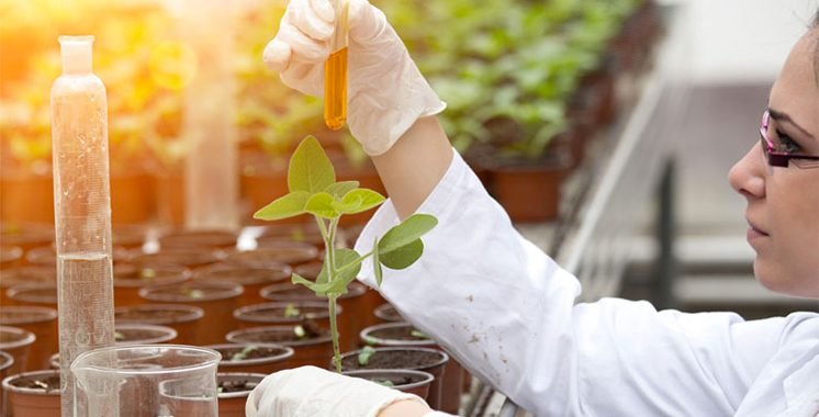 Generation Green – Agriculture: Fifteen new standards to modernize training – Today Morocco