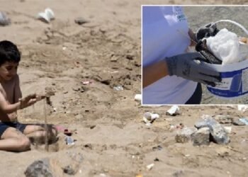 Fight against plastic pollution in the Mediterranean: A Moroccan project among the 12 selected by BeMed – Today Morocco