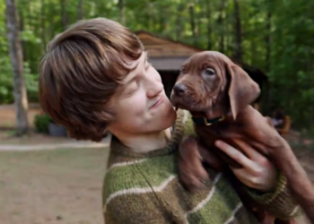 Netflix will premiere the series “Scooby-Doo, the origin”; fans show annoyance at the dog who will play him