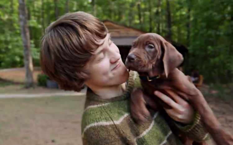 Netflix will premiere the series “Scooby-Doo, the origin”; fans show annoyance at the dog who will play him