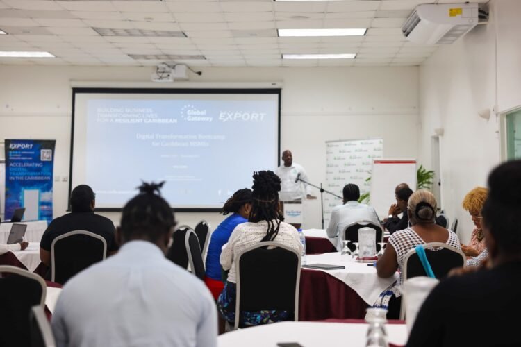 Local businesses equipped with digital tools to compete globally