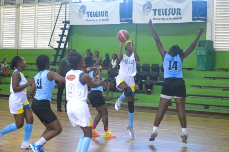 Women’s premier league basketball play-off: Yellow Birds takes first win after weak start – De Ware Tijd