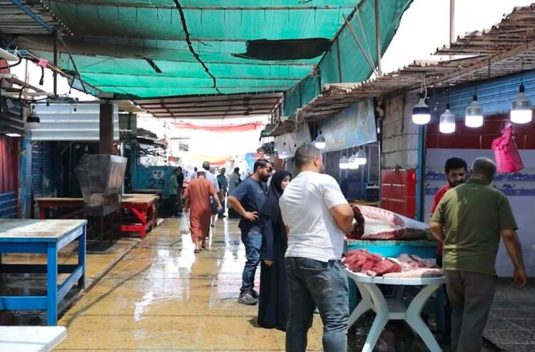 Tripoli’s tuna season through the eyes of an old captain
