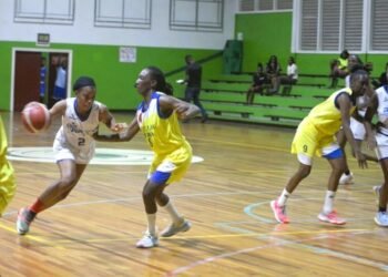 Women’s basketball: Defending champion De Arend dominates Yellow Birds – de Ware Tijd