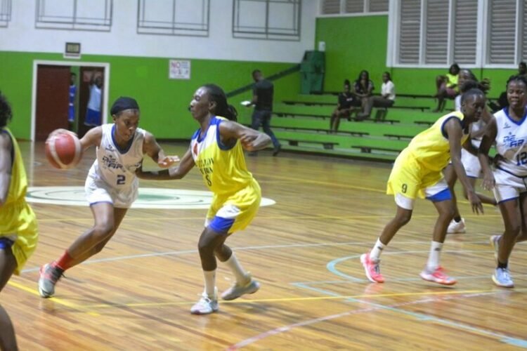 Women’s basketball: Defending champion De Arend dominates Yellow Birds – de Ware Tijd