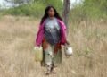 A new framework for climate migrations