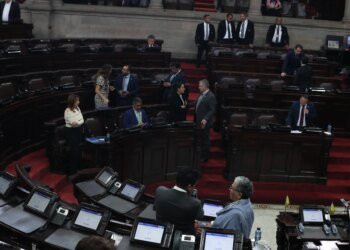Interest persists among deputies to reform the IUSI law