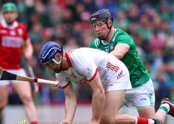 Did the right goalkeeper win man of the match in Munster final? What we learned from the GAA weekend – The Irish Times