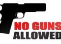 Only police allowed guns in park during carnival – iWitness News