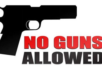 Only police allowed guns in park during carnival – iWitness News