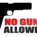 Only police allowed guns in park during carnival – iWitness News