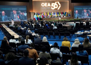 Nicaraguan opposition: “there is consensus in the OAS about the brutal dictatorship”