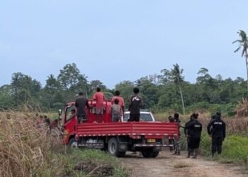 Villagers disturb work on major rice farm project in North Guadalcanal