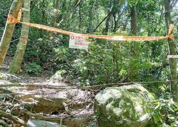 Hornet hotspots mapped in New Taipei